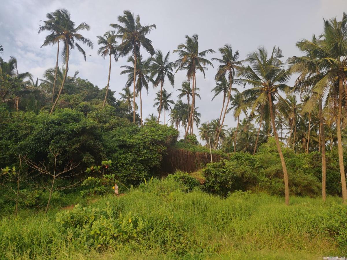 Sunshine Service Villa Kannur Buitenkant foto