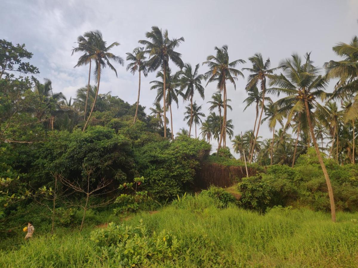 Sunshine Service Villa Kannur Buitenkant foto